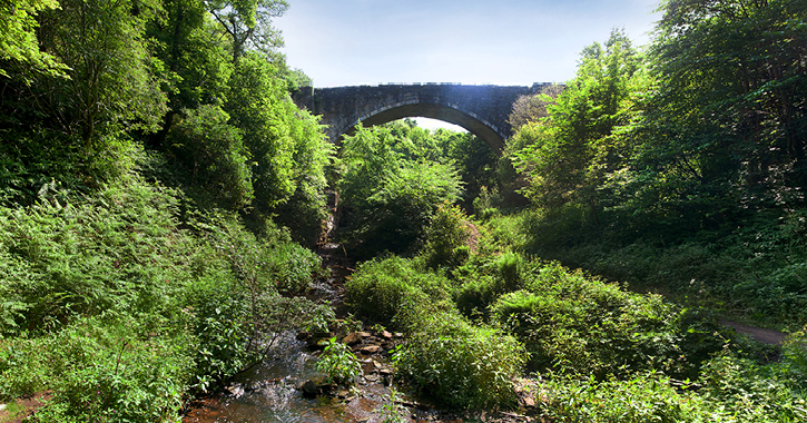 Causey Arch landscape and woodland